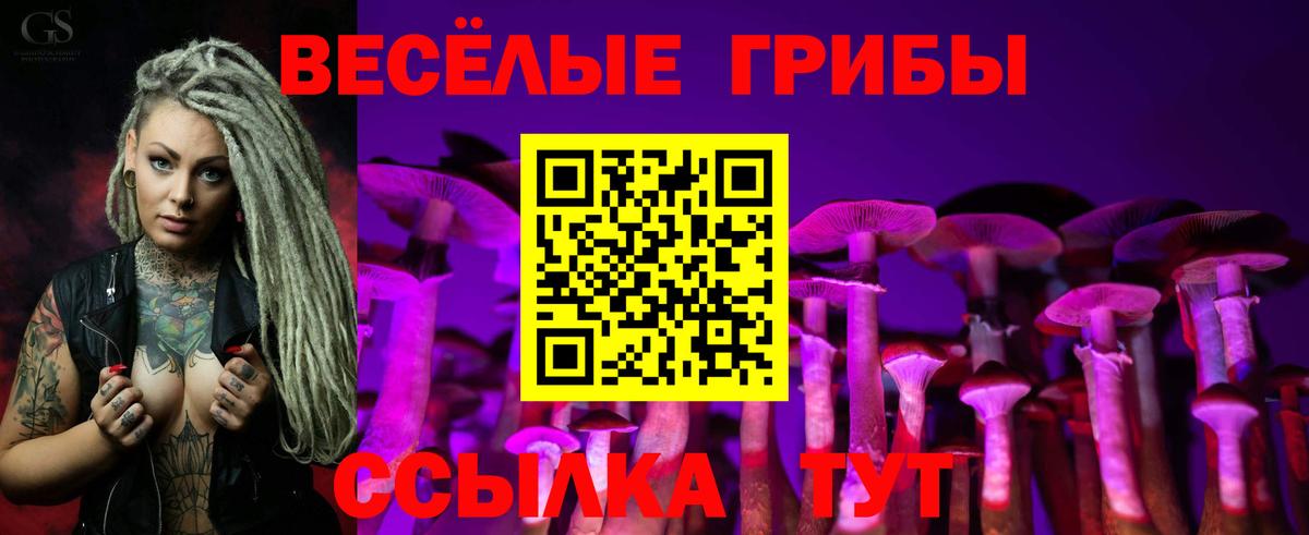 Галлюциногенные грибы Psilocybine cubensis  Вход с VPN  Псилоцибиновые грибы мицелий  Дзержинск 