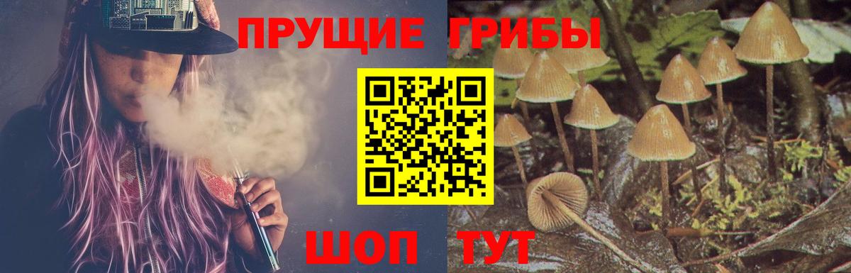 Галлюциногенные грибы мухоморы Дзержинск